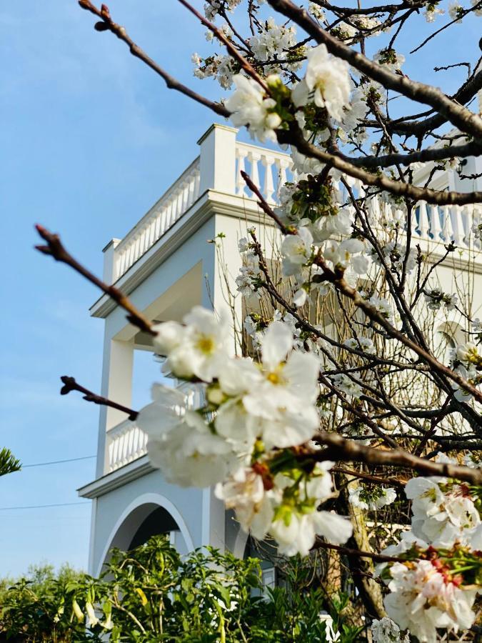 Theros Villa Planos  Bagian luar foto